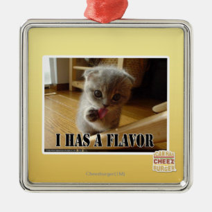 Ornamento De Metal Eu tenho um sabor