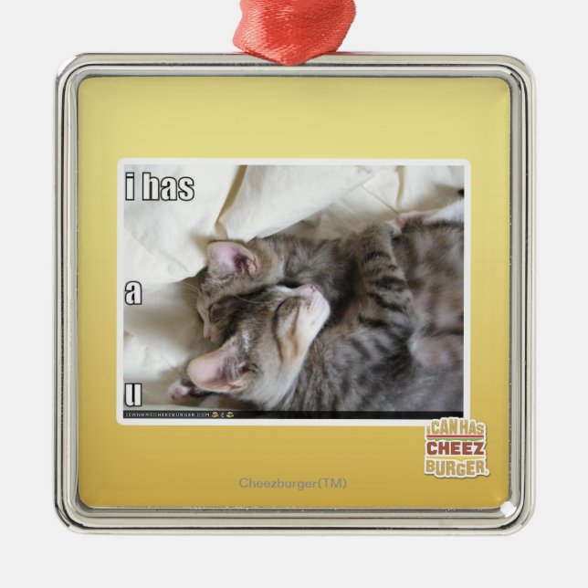 Ornamento De Metal Eu tenho um u (Frente)