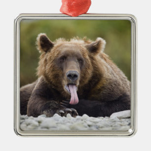 Ornamento De Metal EUA, Alasca, Parque Nacional de Katmai, Baía de Ku