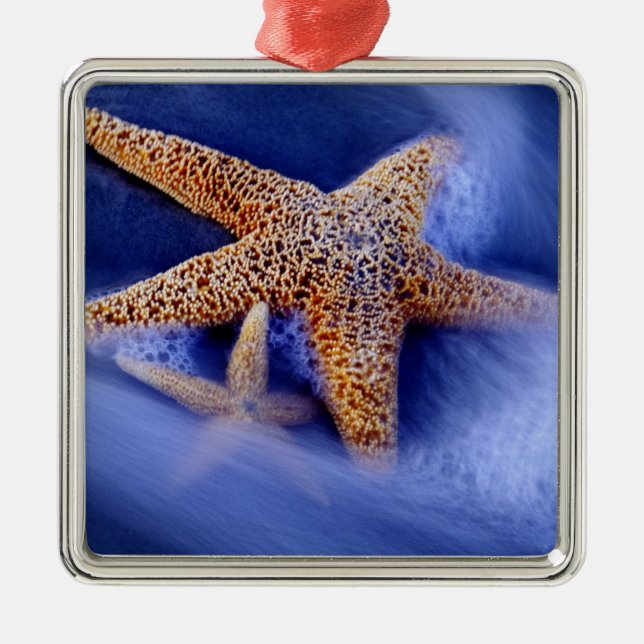 Ornamento De Metal EUA, Carolina do Sul, Ilha Hilton Head.Dois (Frente)