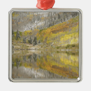 Ornamento De Metal EUA, Colorado, Floresta Nacional White River, 2