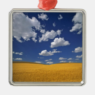 Ornamento De Metal EUA, Estado de Washington, Colfax. Reúne cevada