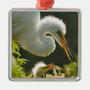 Ornamento De Metal EUA, Flórida, Rua. Augustine, Alligator fazenda