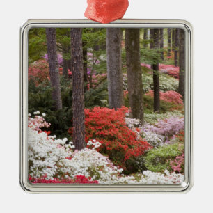 Ornamento De Metal EUA, Geórgia, Pine Mountain. Uma floresta de