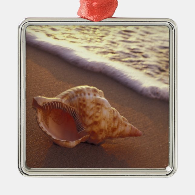 Ornamento De Metal EUA, Havaí, Maui, Kihei, Luz da noite sobre (Frente)