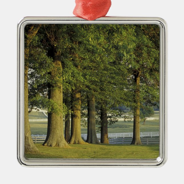 Ornamento De Metal EUA, Kentucky, Lexington. Linha de árvores e (Frente)