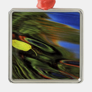 Ornamento De Metal EUA, Michigan, Folha de Birch no rio com o outono