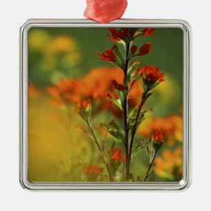 Ornamento De Metal EUA, Michigan, Ilha Drummond, Maxton Plains,