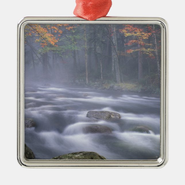 Ornamento De Metal EUA, Nova York, Adirondacks, Rio Grande Mose (Frente)