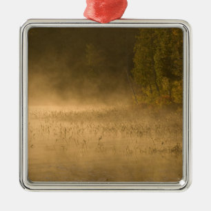 Ornamento De Metal EUA, Nova York, Parque Adirondack. Névoa solar li