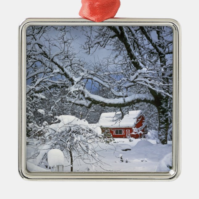 Ornamento De Metal EUA, Oregon, Clackamas County. Neve fresca (Frente)