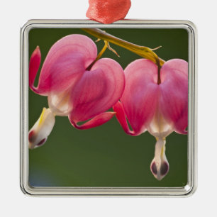 Ornamento De Metal EUA, Pensilvânia. Fecho de duas hemorragias