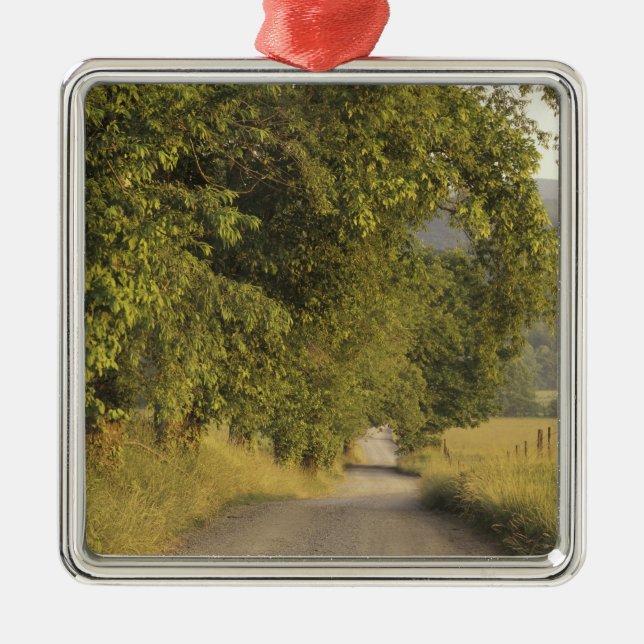 Ornamento De Metal EUA, Tennessee, Excelente Mountains National 2 (Frente)