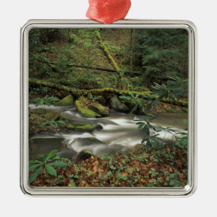 Ornamento De Metal EUA, Tennessee. Rio Nacional Big South Fork