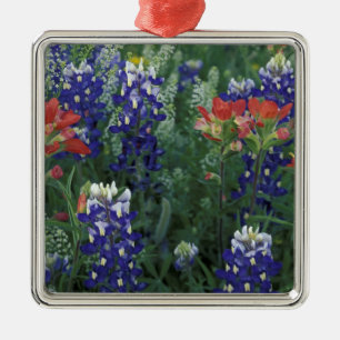 Ornamento De Metal EUA, Texas Hill Country. Bluebonnets e