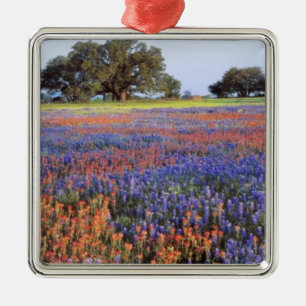 Ornamento De Metal EUA, Texas, Llano. Bluebonnets e redbonnets