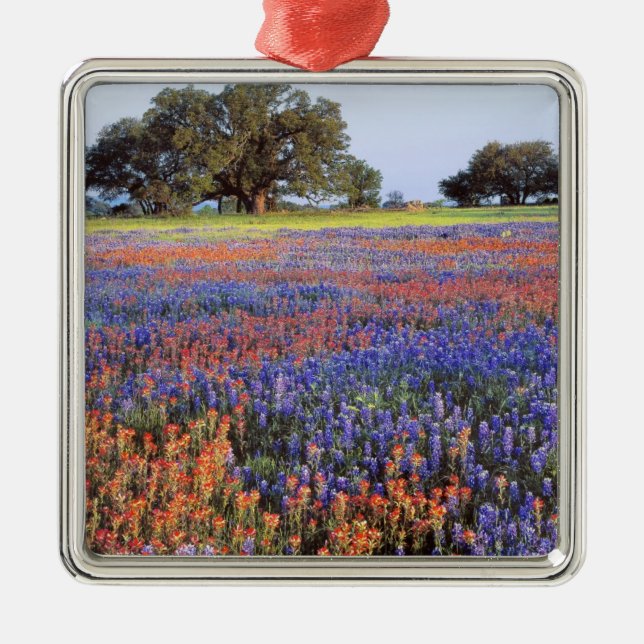 Ornamento De Metal EUA, Texas, Llano. Bluebonnets e redbonnets (Frente)