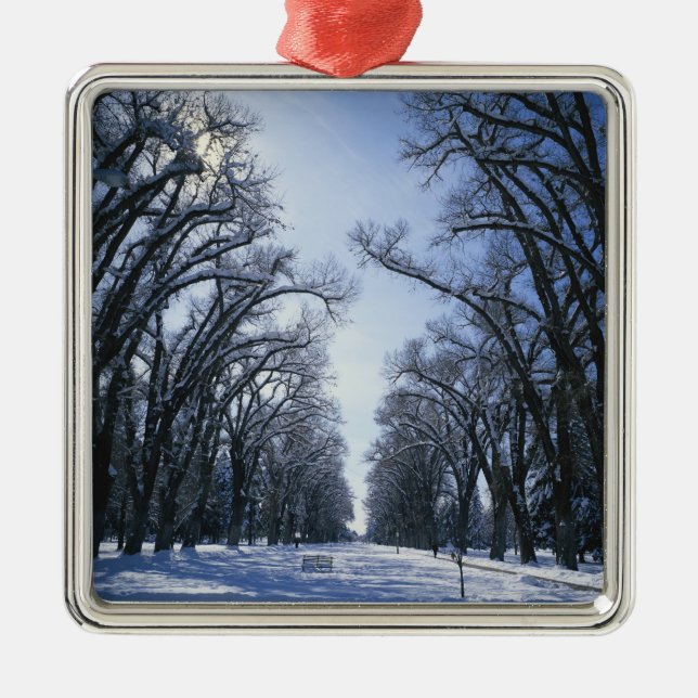 Ornamento De Metal EUA, Utah, Salt Lake City, Liberty Park, (Frente)