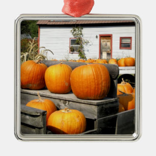 Ornamento De Metal EUA, Vermont.Pumpkins