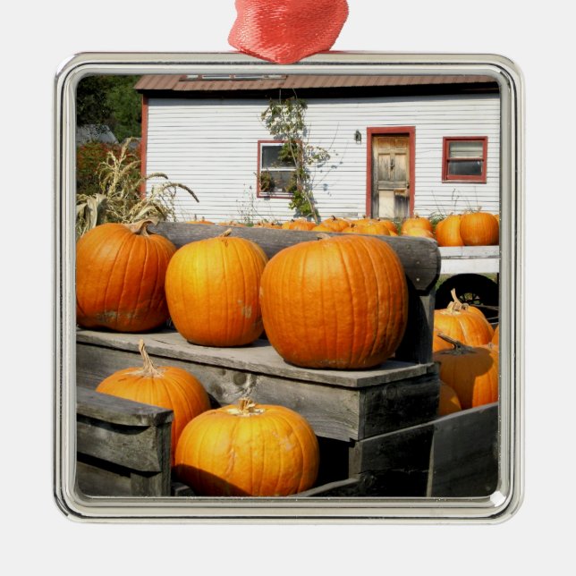 Ornamento De Metal EUA, Vermont.Pumpkins (Frente)