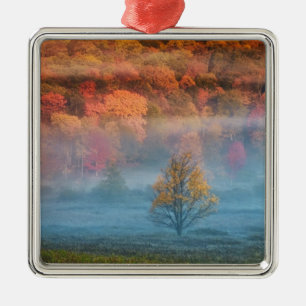 Ornamento De Metal EUA, Virginia Ocidental, Davis. Misty Valley e