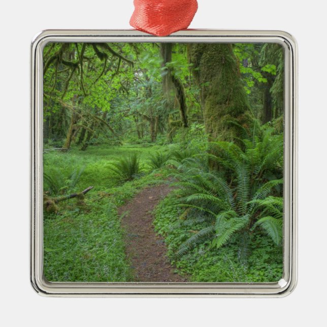 Ornamento De Metal EUA, Washington, Parque Nacional Olimpiadas, (Frente)