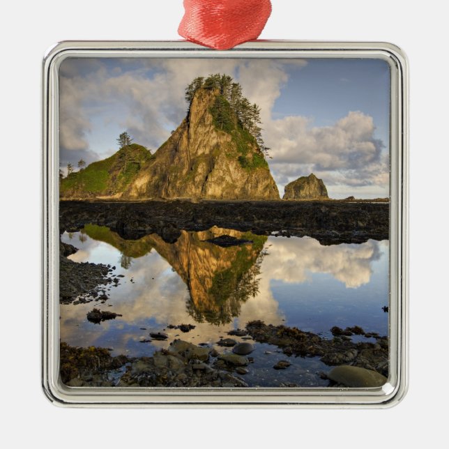 Ornamento De Metal EUA, Washington, Parque Nacional Olimpiadas.A (Frente)