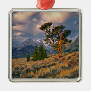 Ornamento De Metal EUA, Wyoming, Grand Teton NP. O nascer do sol cump