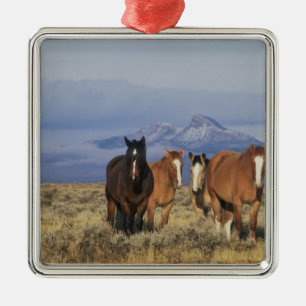 Ornamento De Metal EUA, Wyoming, perto de Cody Group