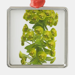 Ornamento De Metal Eufórbio