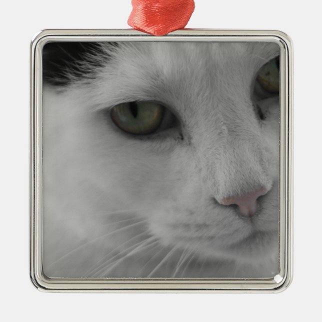 Ornamento De Metal Face de gatos brancos e pretos (Frente)