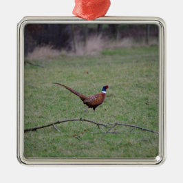 Ornamento De Metal faisão