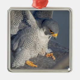 Ornamento De Metal Falcão Peregrine ao longo do rio Hudson