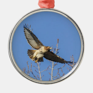 Ornamento De Metal falcão Vermelho-atado