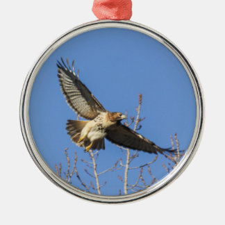 Ornamento De Metal falcão Vermelho-atado
