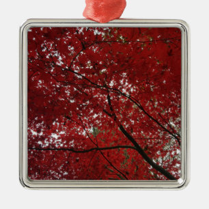 Ornamento De Metal Fall Season Red Brown Autumn Folhas