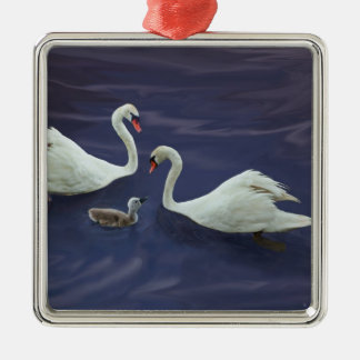 Ornamento De Metal família da cisne