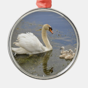 Ornamento De Metal Família da cisne