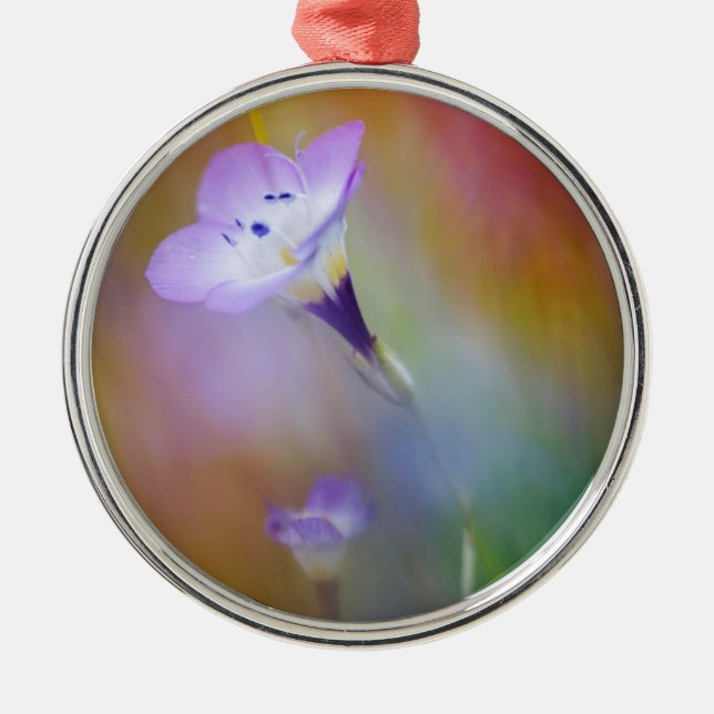 Ornamento De Metal Farol de Loma de Ponto Antigo| Monumento Cabrillo (Frente)