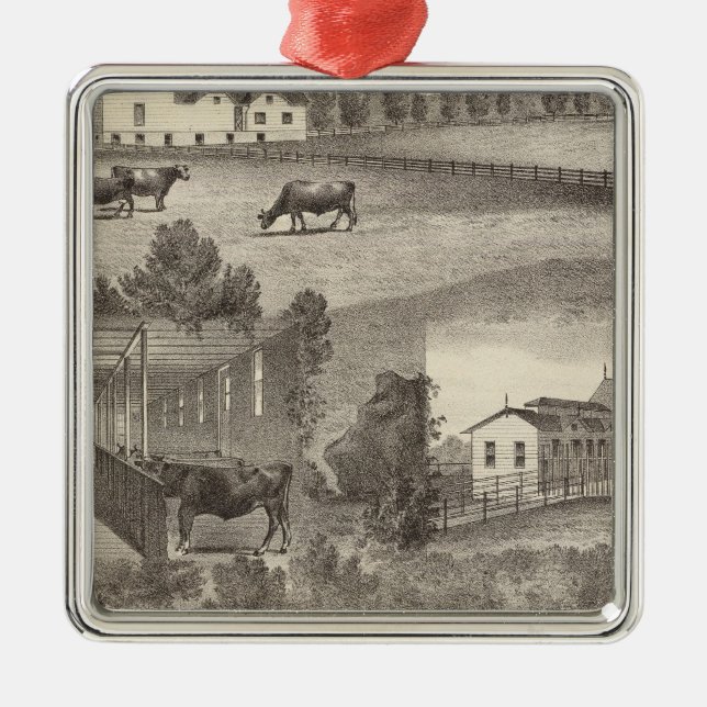Ornamento De Metal Fazenda de Cranmoor, Toms River, NJ (Frente)