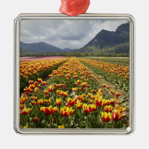 Ornamento De Metal Fazenda Tulip perto de Agassiz, Colúmbia Britâni