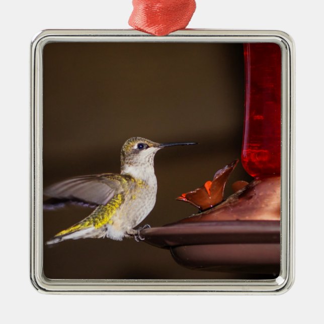 Ornamento De Metal Febre, beija-flor (Frente)