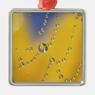 Ornamento De Metal Fechamento da teia de aranha com gotas de orvalho