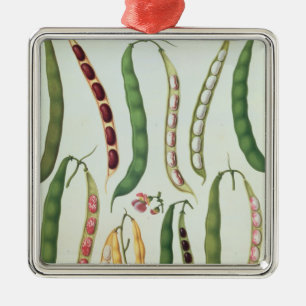 Ornamento De Metal Feijões