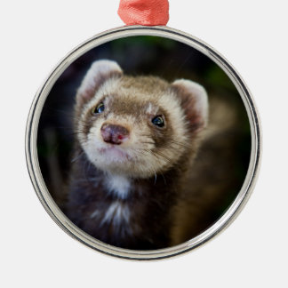 Ornamento De Metal Ferret