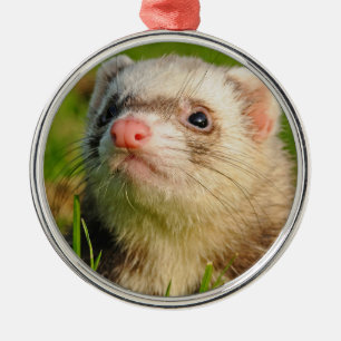 Ornamento De Metal Ferret Amigável