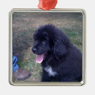 Ornamento De Metal Filhote de cachorro bonito de Newfie (raça do cão