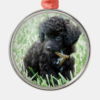 Ornamento De Metal Filhote de cachorro da caniche de brinquedo