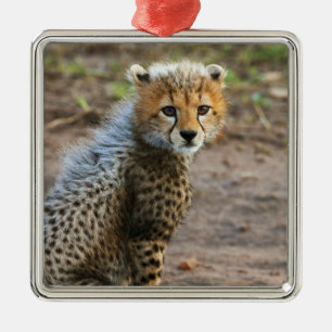Ornamento De Metal Filhote de Guepardo Acinonyx Jubatus)