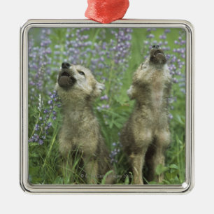 Ornamento De Metal Filhotes de cachorro de lobo que urram no prado